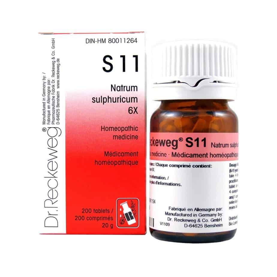s11-dr-reckeweg-schuessler-salts