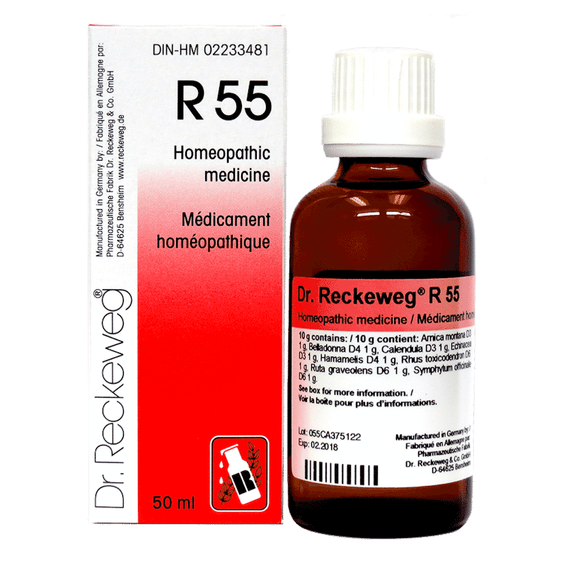 r55-dr-reckeweg