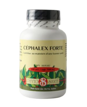 CéphalexForte-100-500-phyto santé