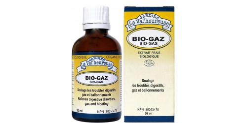 bio_gaz