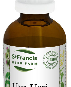 Uva-Ursi-50-st-francis-herb-farm