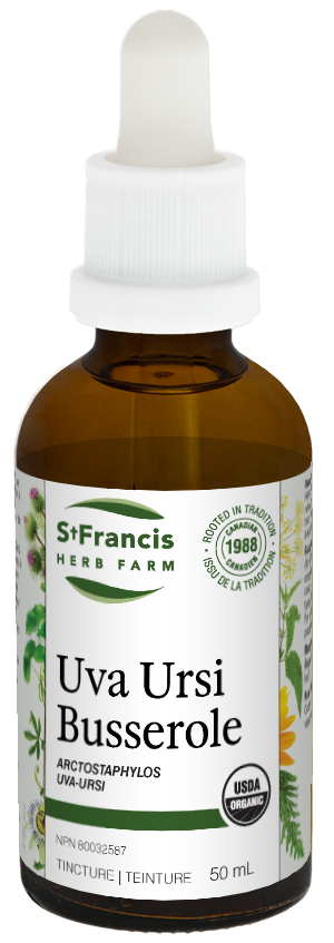 Uva-Ursi-50-st-francis-herb-farm