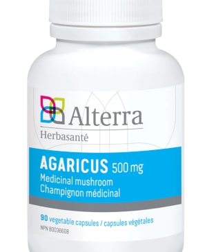 Agaricus-Alter-90