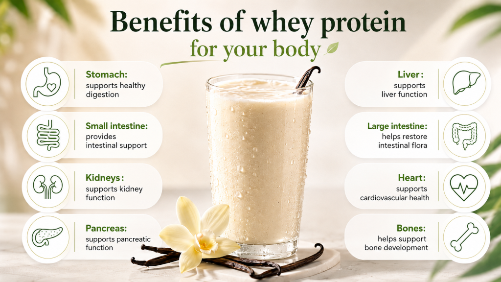 Whey protein powder 500 g by Syner G Supplements