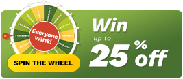 Play wheel of health