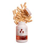 Methyl Syner-B 60 capsules atplab