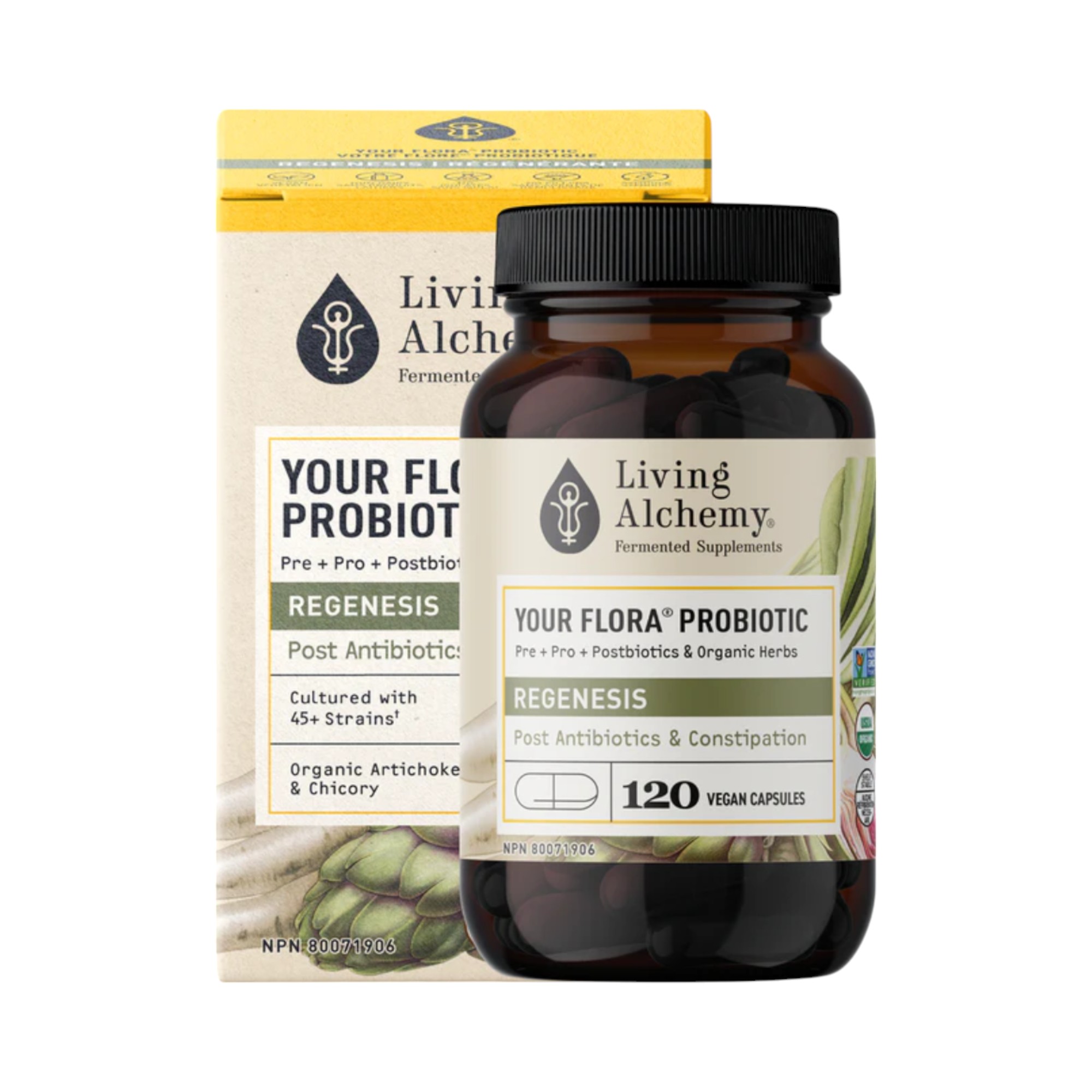Votre-Flore-Probiotique-Regenerante-60-capsules-Living-Alchemy.jpg