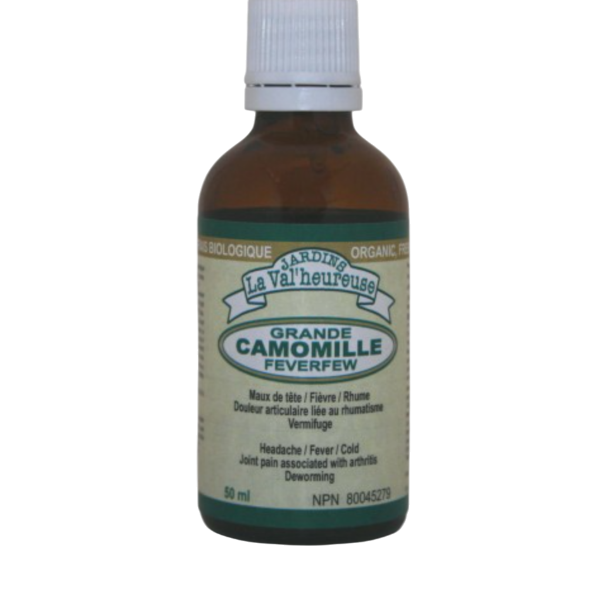 Grande-Camomille-50-ml-Jardin-La-Valheureuse.png