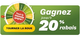 Jouer à la roue de la santé