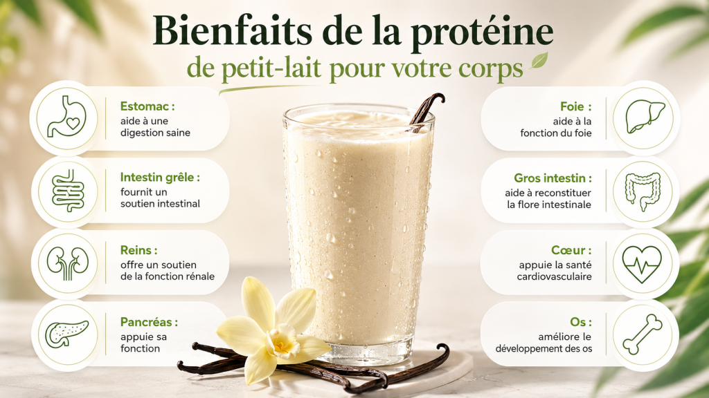 Protéine de petit-lait